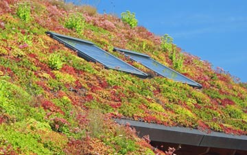 Rushgreen living roof systems