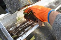 rated Rushgreen gutter cleaning companies
